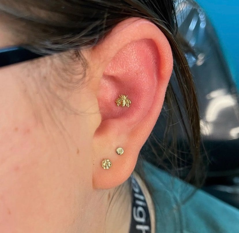Conch piercing with a gold bee stud done at Enigma Tattoos